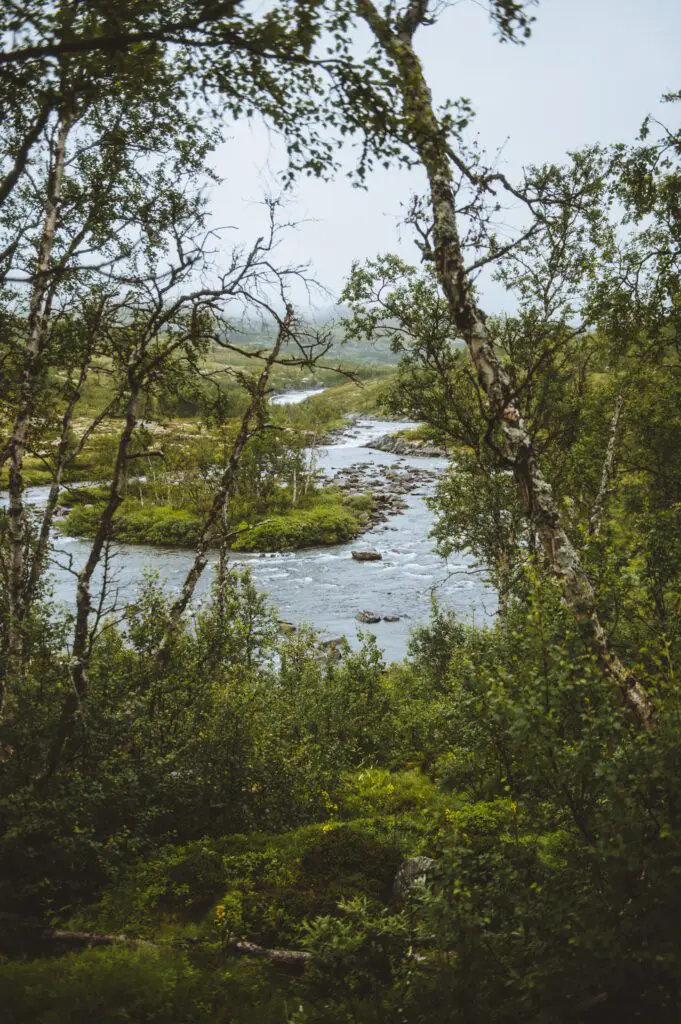 Wandelen Noorwegen Hardangervidda