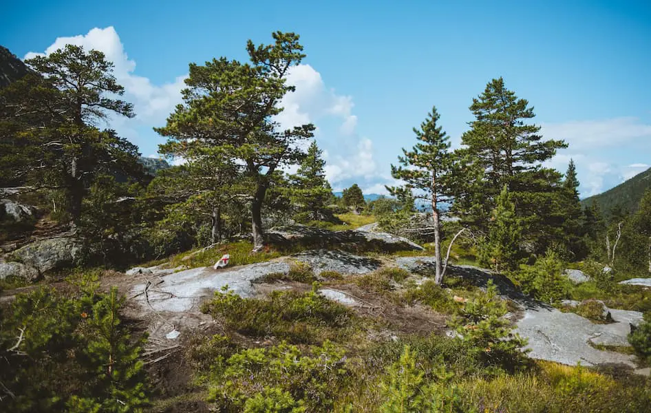 Wandelen Noorwegen Hardangervidda