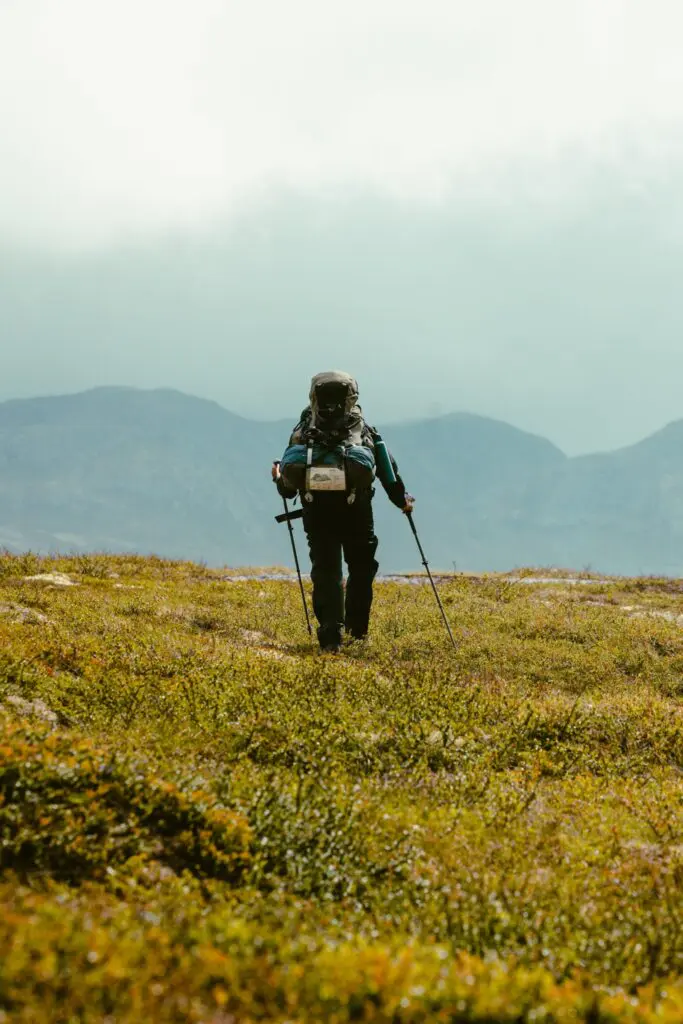 hiker with backpack and poles walking on grassy mountain trail