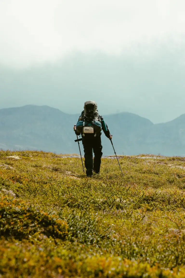 hiker with backpack and poles walking on grassy mountain trail