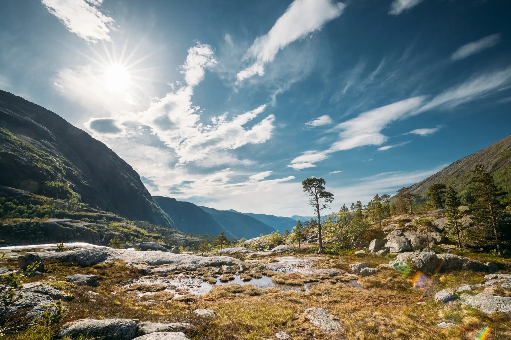 sunny mountain landscape with rocky terrain and scattered trees in Norway