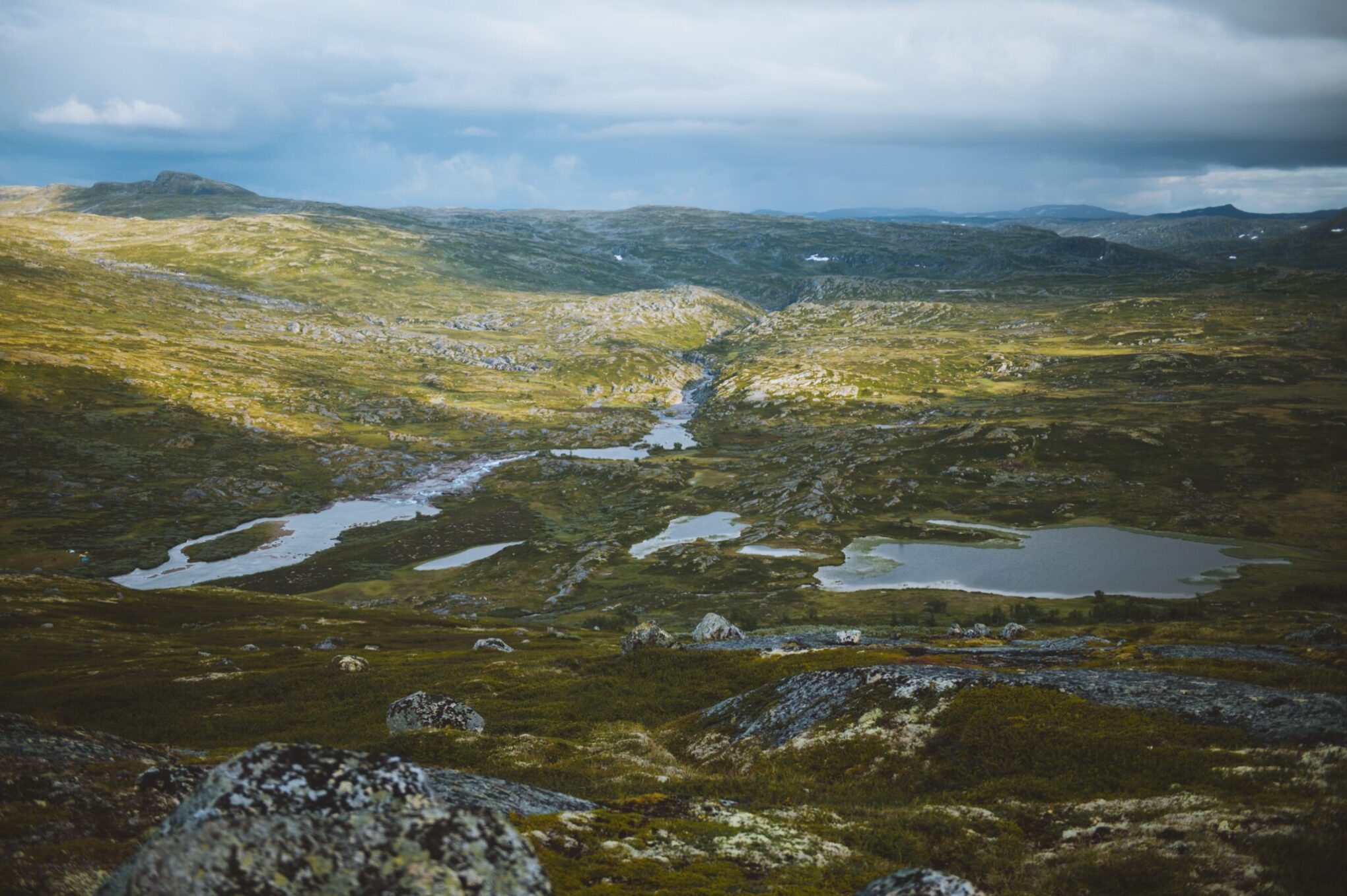 Wandern Norwegen Hardangervidda