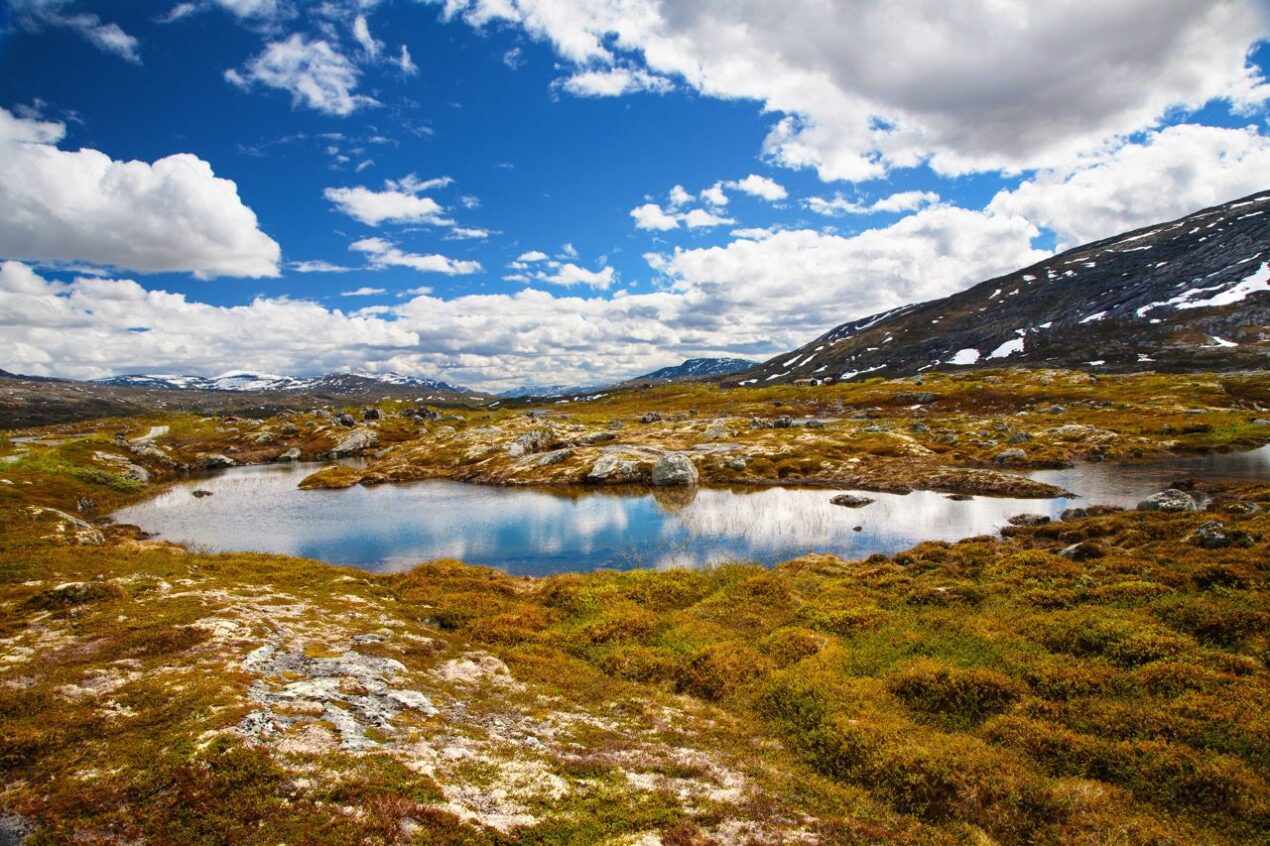 Nationalpark Norwegen