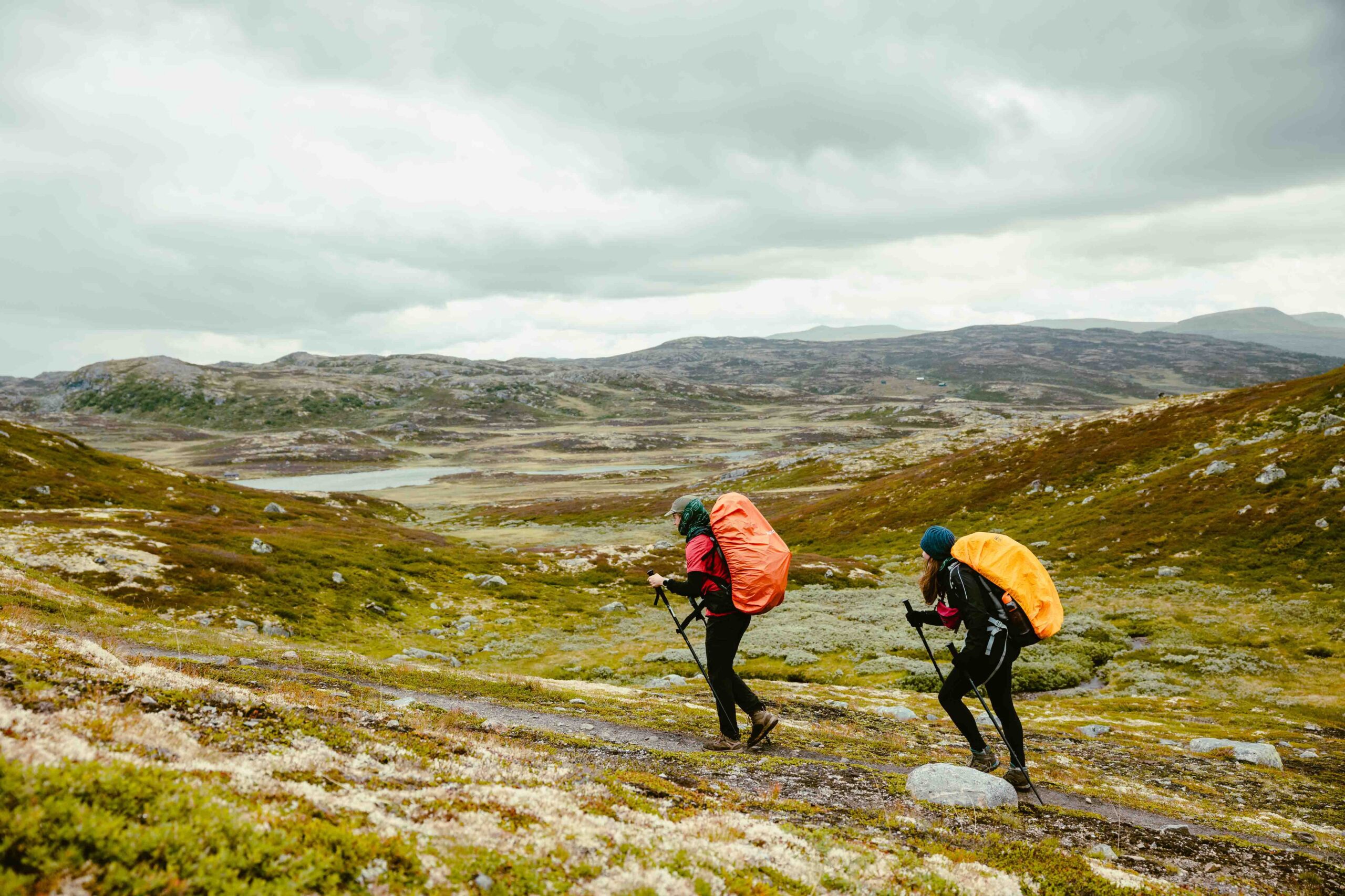 natuur van Noorwegen