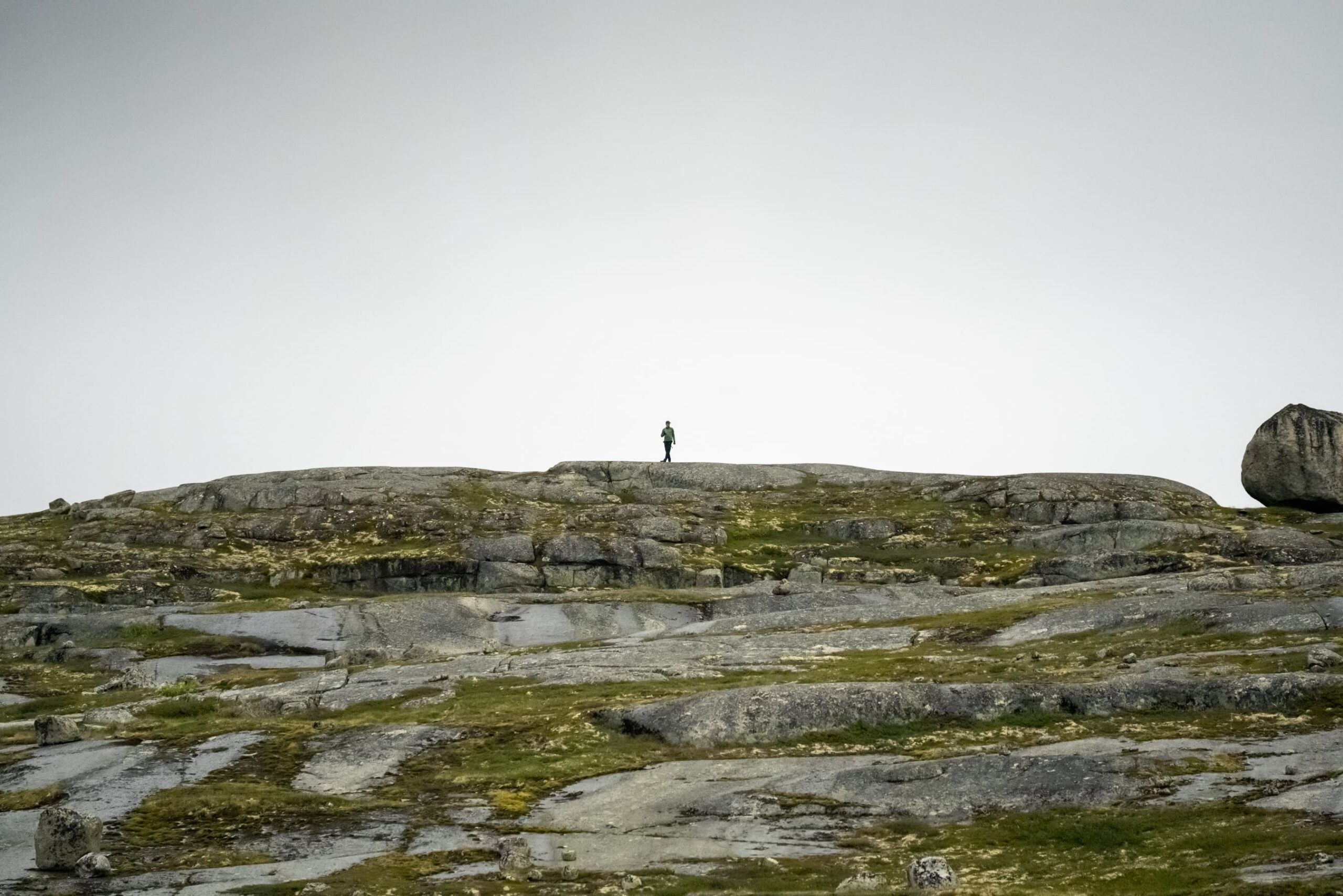 Wildkamperen in Noorwegen